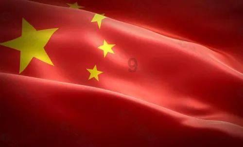 爱吃叶子的毛毛虫
